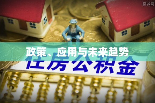 宏伟政策、应用与未来趋势