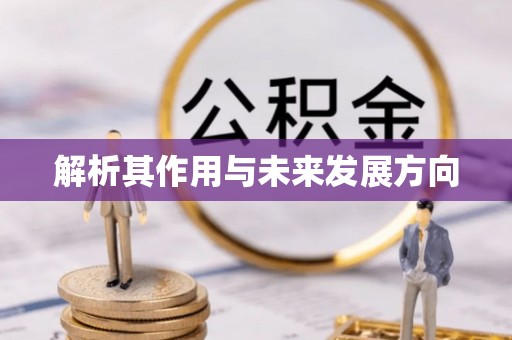 宏伟解析其作用与未来发展方向