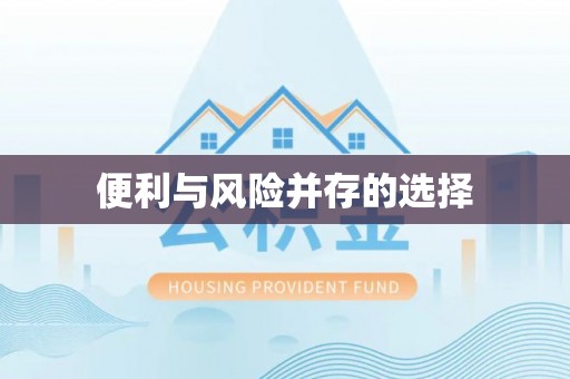 宏伟便利与风险并存的选择