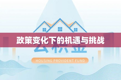 宏伟政策变化下的机遇与挑战