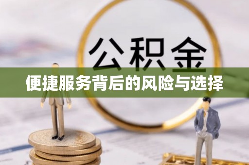 宏伟便捷服务背后的风险与选择
