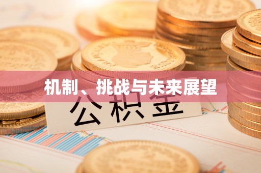 宏伟机制、挑战与未来展望