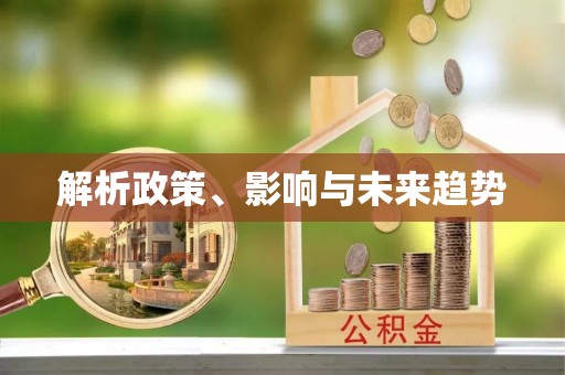 宏伟解析政策、影响与未来趋势