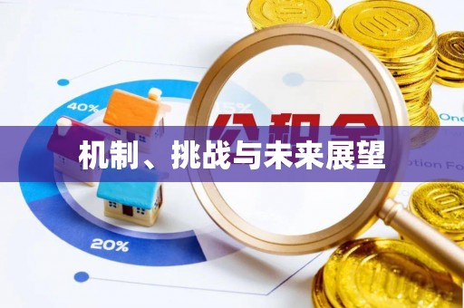 宏伟机制、挑战与未来展望